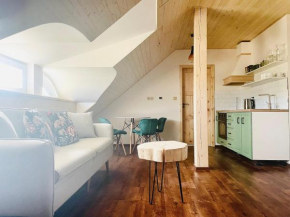 Roubenka Meandra - studio 32m2, Borova Lada